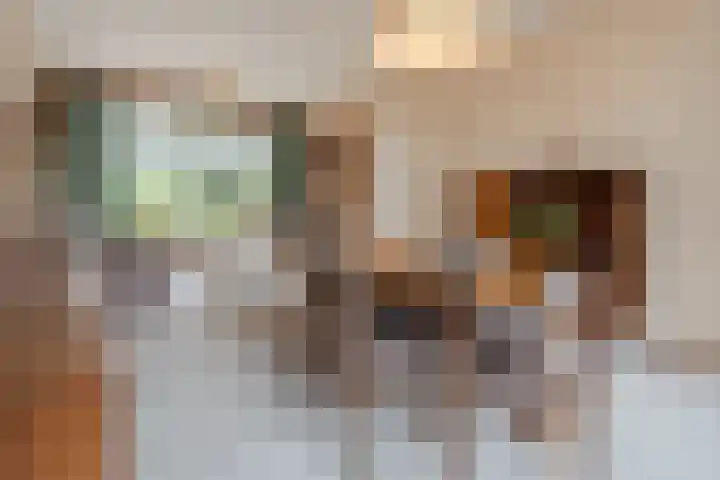 Santhorst 99 Leiderdorp thumbnail 29