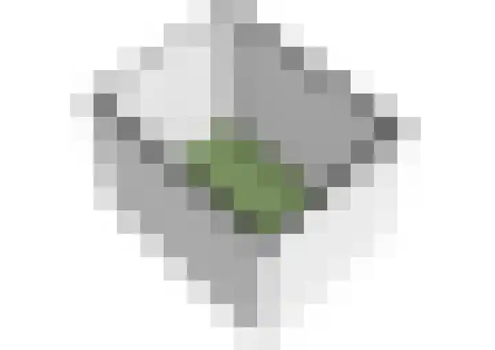 Santhorst 99 Leiderdorp thumbnail 29