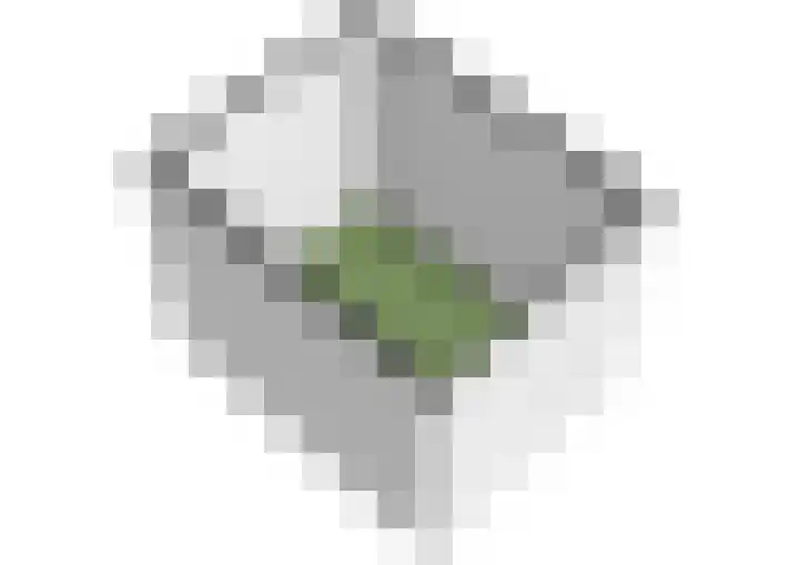 Santhorst 99 Leiderdorp thumbnail 30