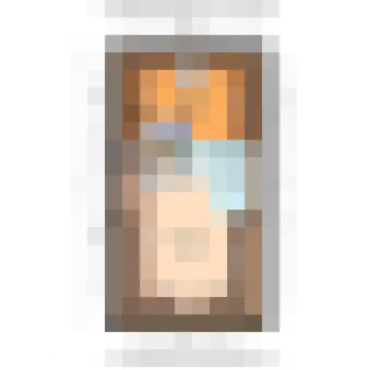 Santhorst 99 Leiderdorp thumbnail 4