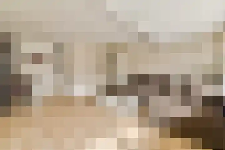 Santhorst 99 Leiderdorp thumbnail 5