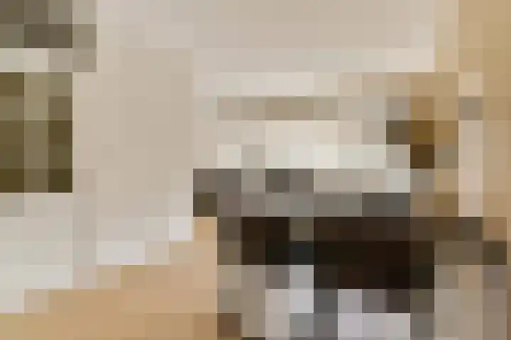 Santhorst 99 Leiderdorp thumbnail 6