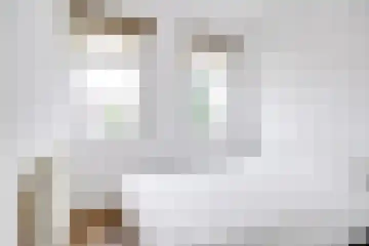 Santhorst 99 Leiderdorp thumbnail 8