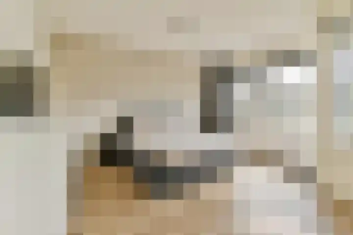 Santhorst 99 Leiderdorp thumbnail 9