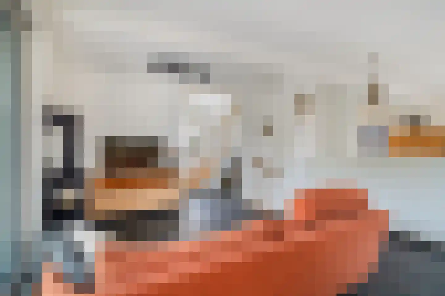 Santhorsthof 54 Monster thumbnail 34