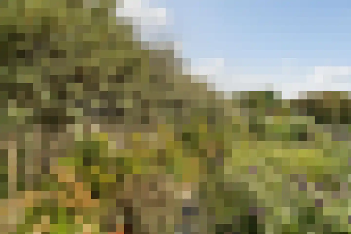 Santhorsthof 54 Monster thumbnail 55