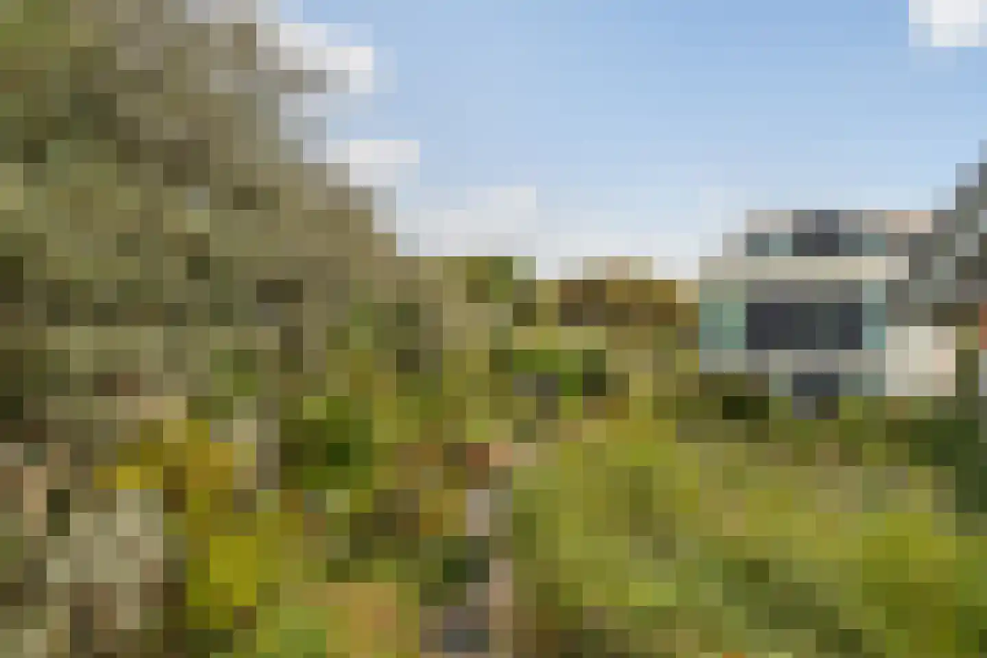 Santhorsthof 54 Monster thumbnail 56