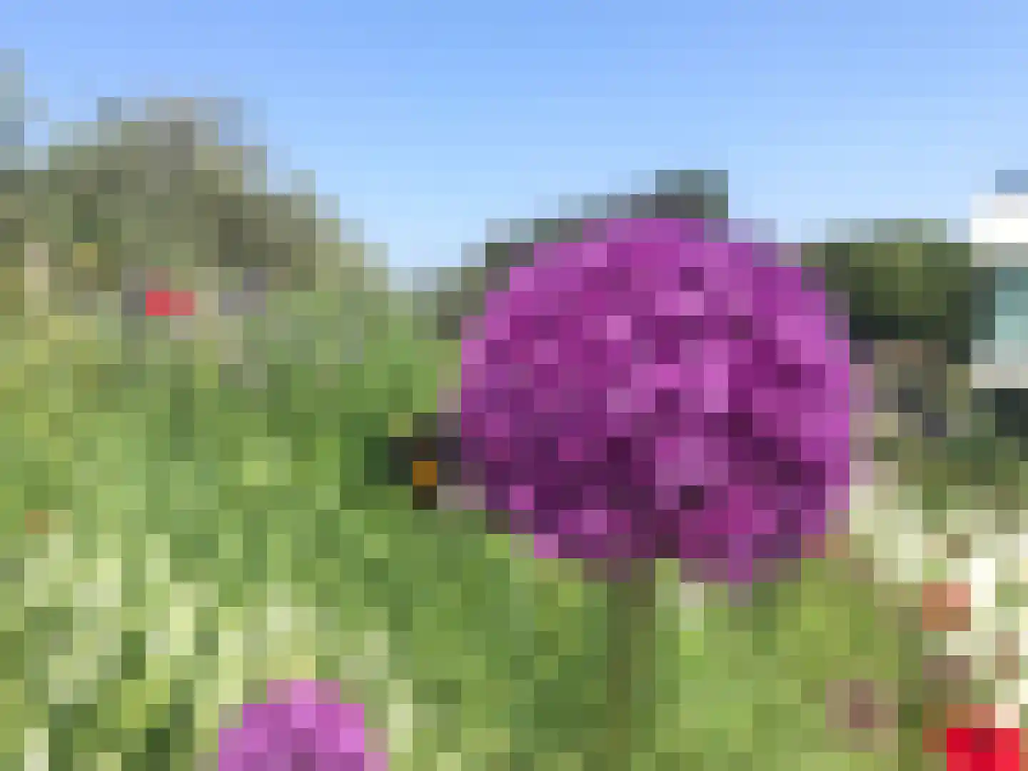 Santhorsthof 54 Monster thumbnail 58