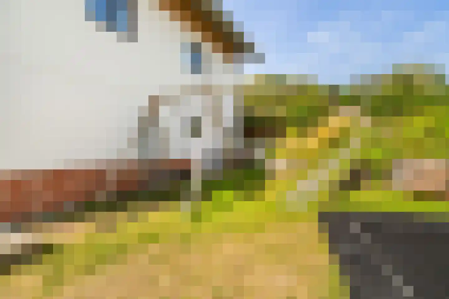 Santhorsthof 54 Monster thumbnail 60