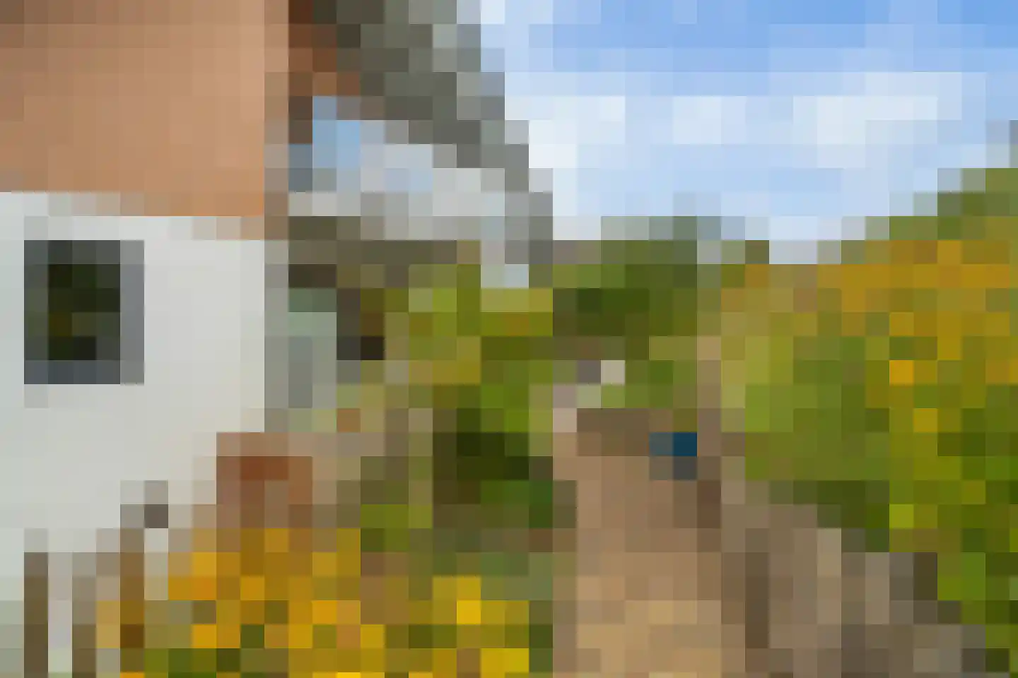 Santhorsthof 54 Monster thumbnail 62