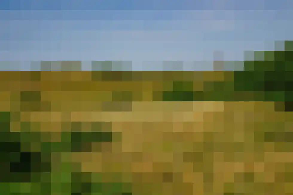 Santhorsthof 54 Monster thumbnail 81