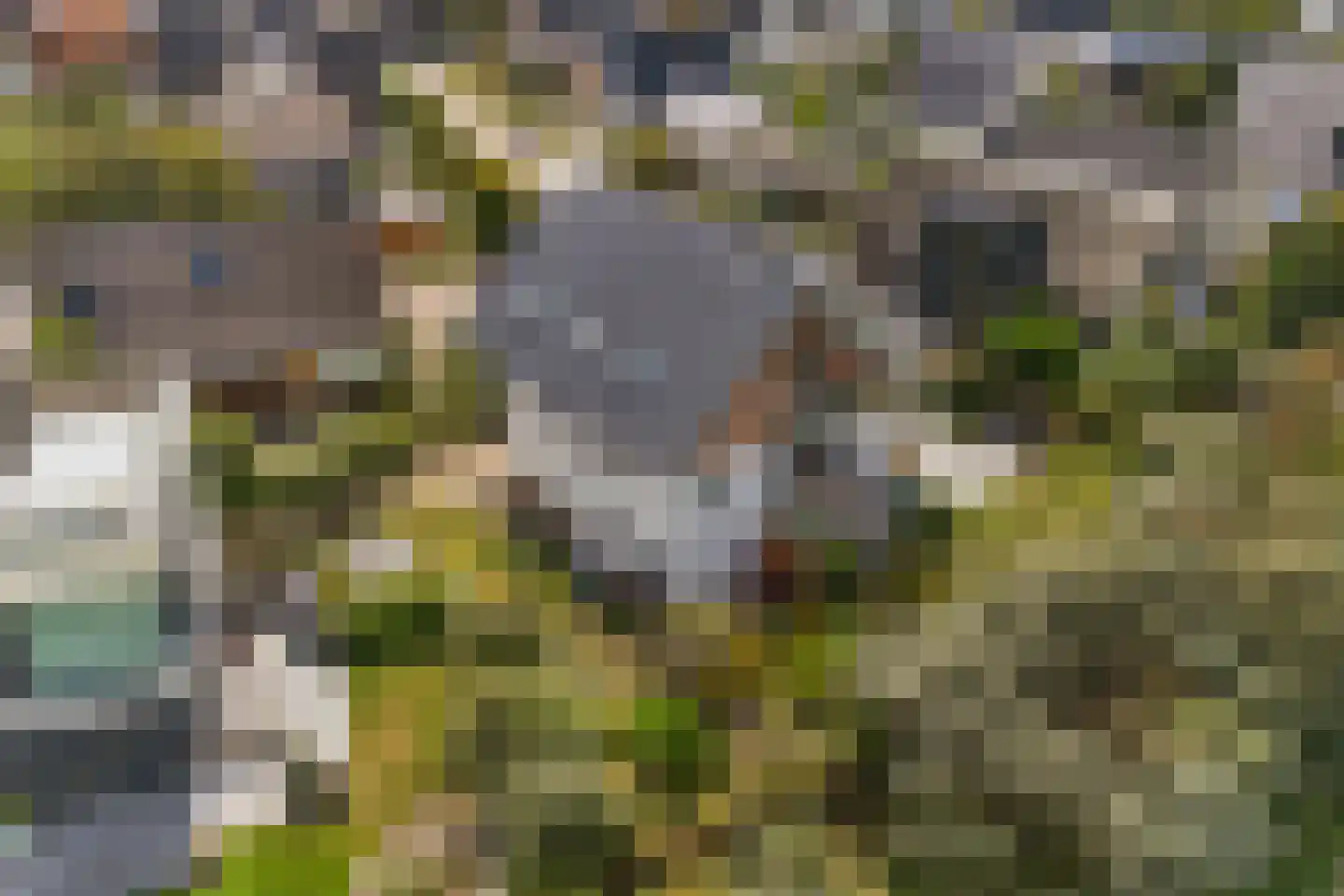 Santhorsthof 54 Monster thumbnail 83