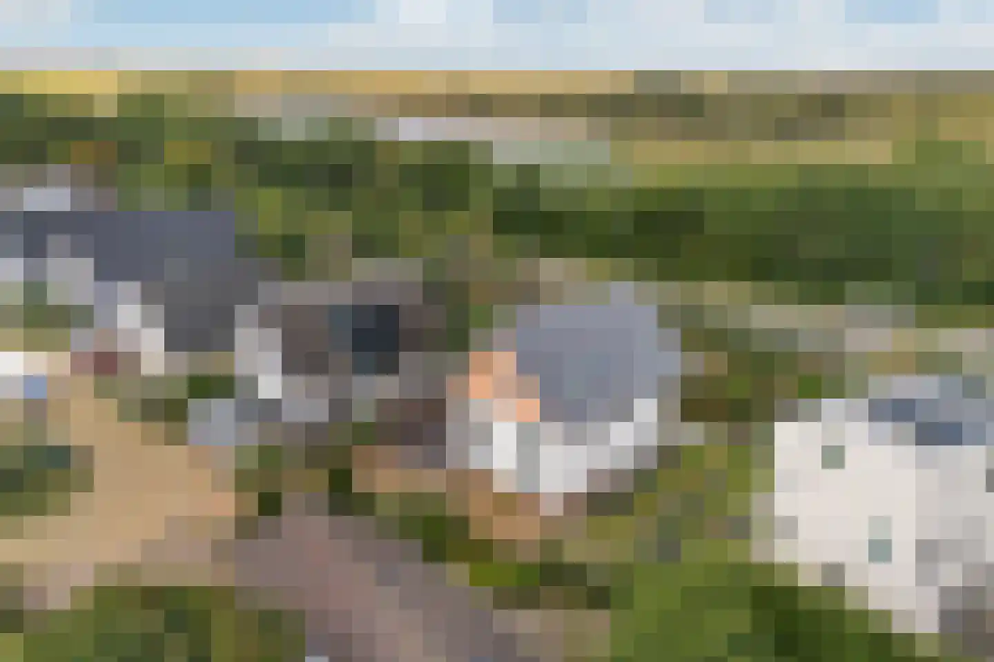 Santhorsthof 54 Monster thumbnail 85