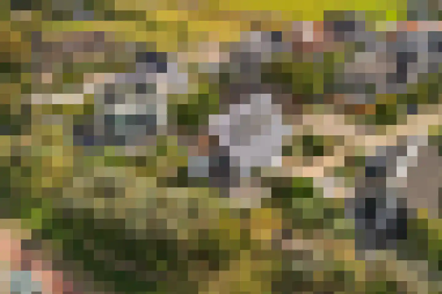 Santhorsthof 54 Monster thumbnail 86