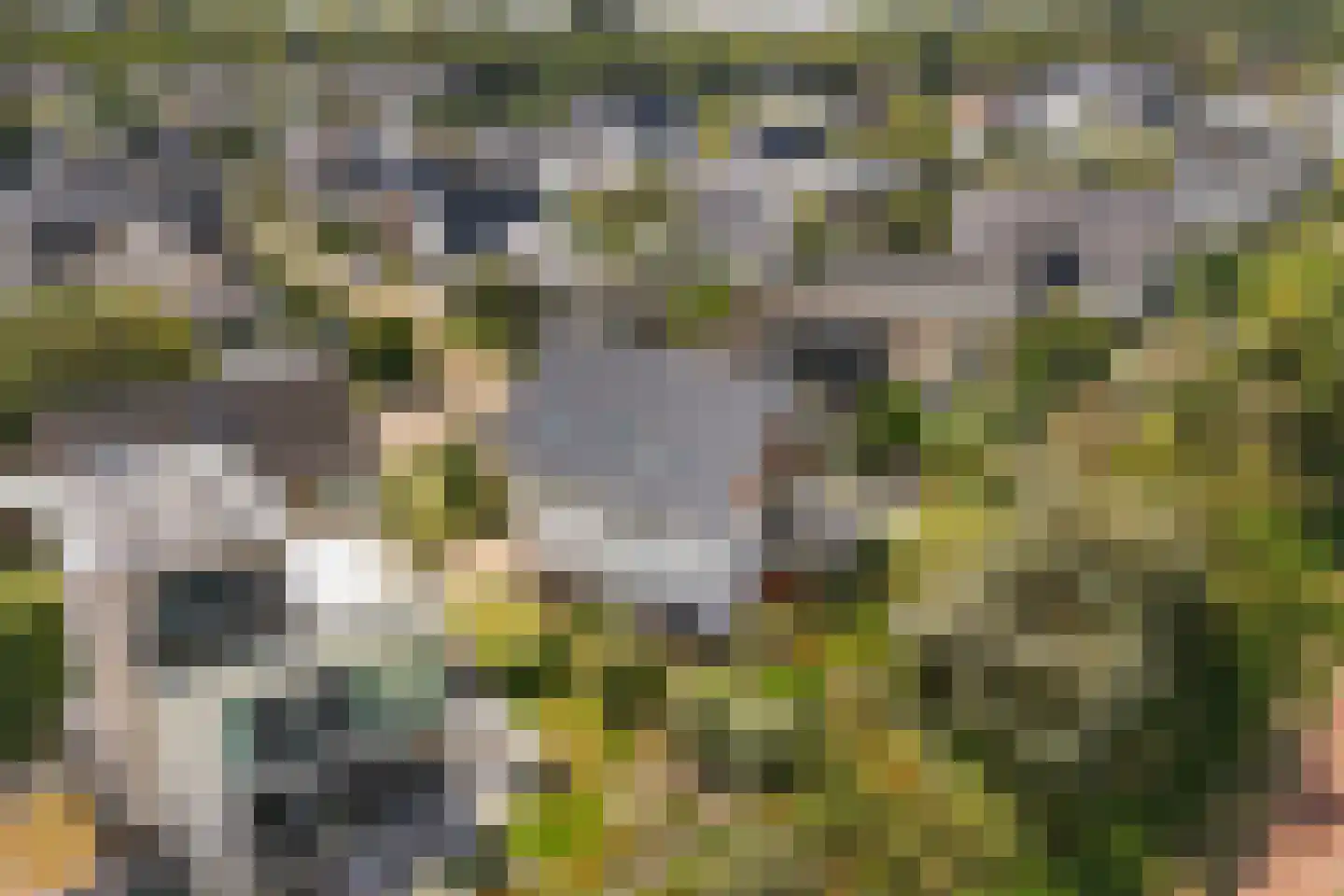 Santhorsthof 54 Monster thumbnail 88