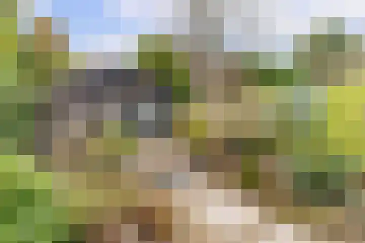 Santhorstlaan 15 Wassenaar thumbnail 18