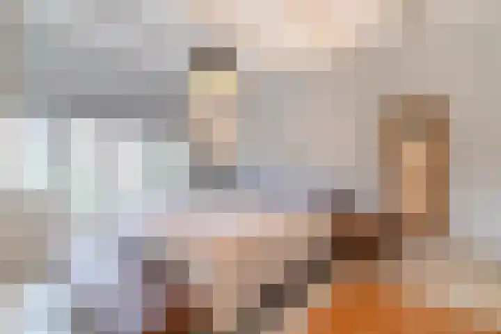 Santhorstlaan 15 Wassenaar thumbnail 23