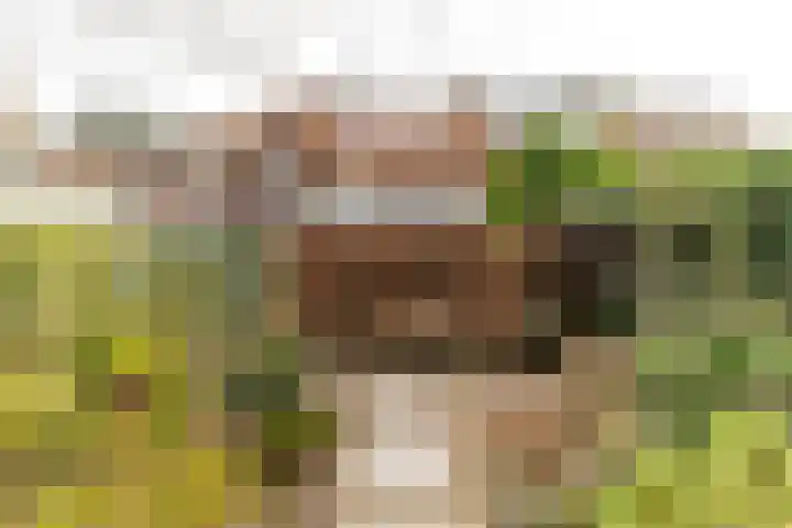 Santhorstlaan 15 Wassenaar thumbnail 33
