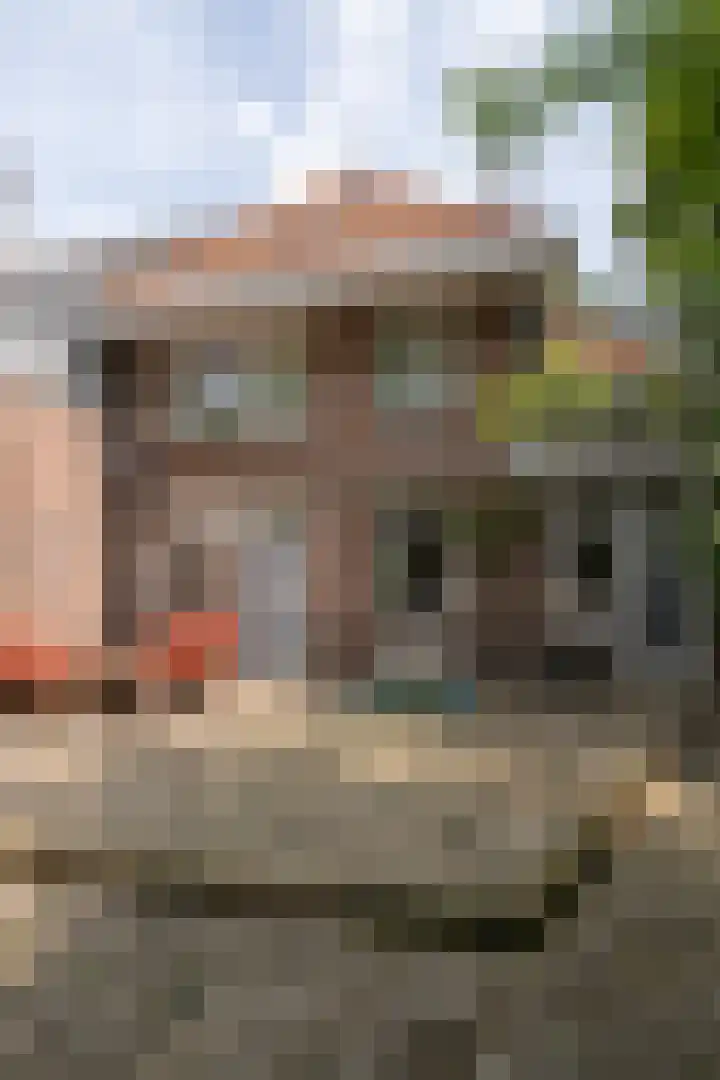 Santhorstlaan 52 Wassenaar thumbnail 14