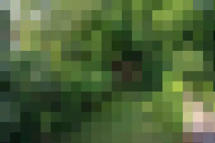 Santhorstlaan 52 Wassenaar thumbnail 25