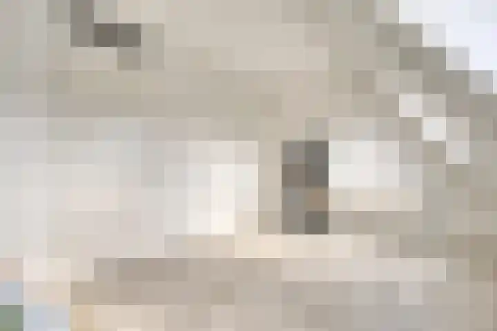 Saparua 77 Barneveld thumbnail 20