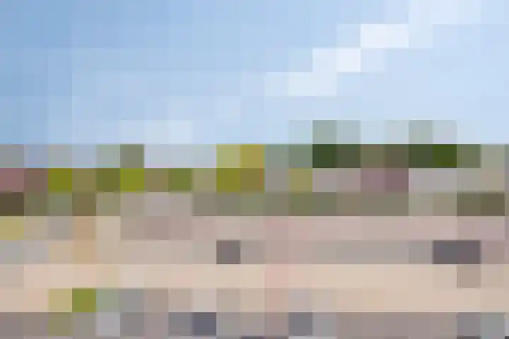 Saparua 77 Barneveld thumbnail 22