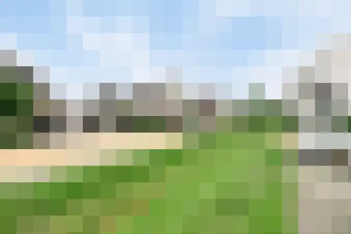 Saparua 77 Barneveld thumbnail 25