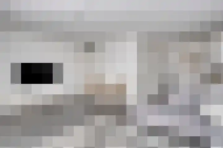 Saparua 77 Barneveld thumbnail 8