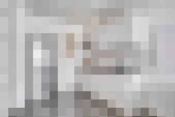 Saparua 77 Barneveld thumbnail 9