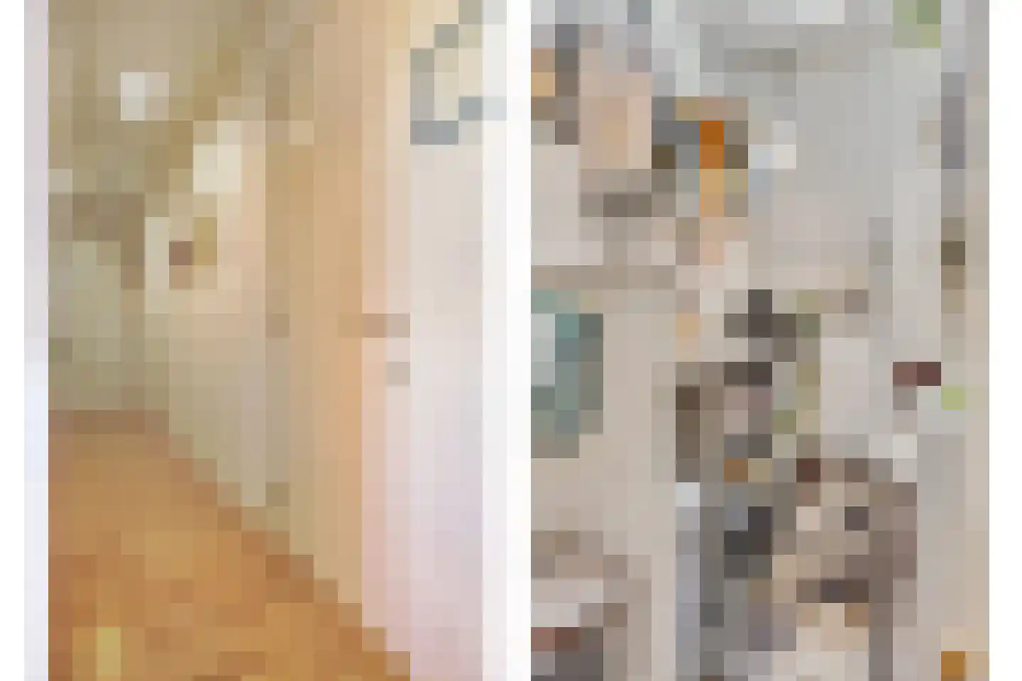 Sara Beytsweg 6 Eede thumbnail 39