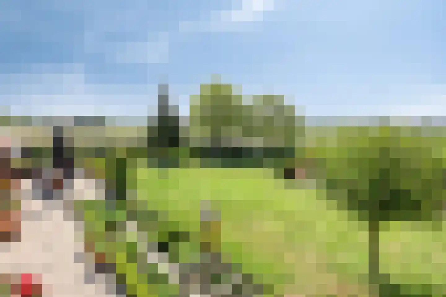 Sara Beytsweg 6 Eede thumbnail 69