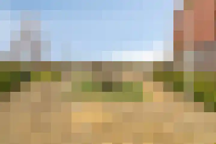 Saramaccastraat 25 Purmerend thumbnail 33