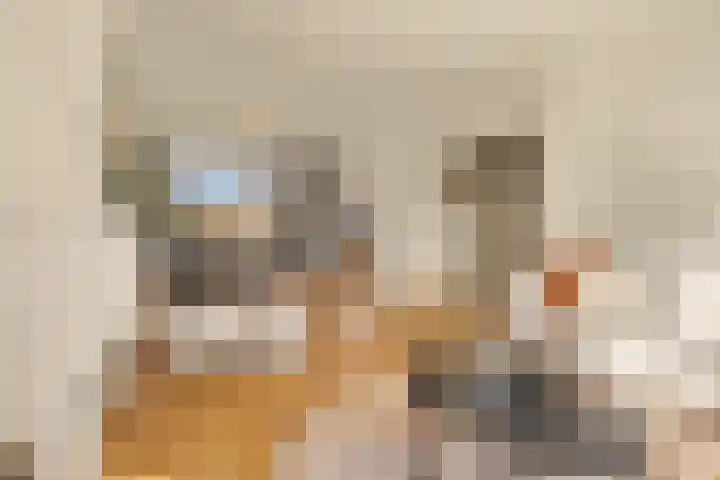 Sardiniëpad 7 Eindhoven thumbnail 13