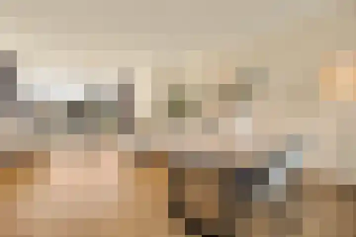 Sardiniëpad 7 Eindhoven thumbnail 18