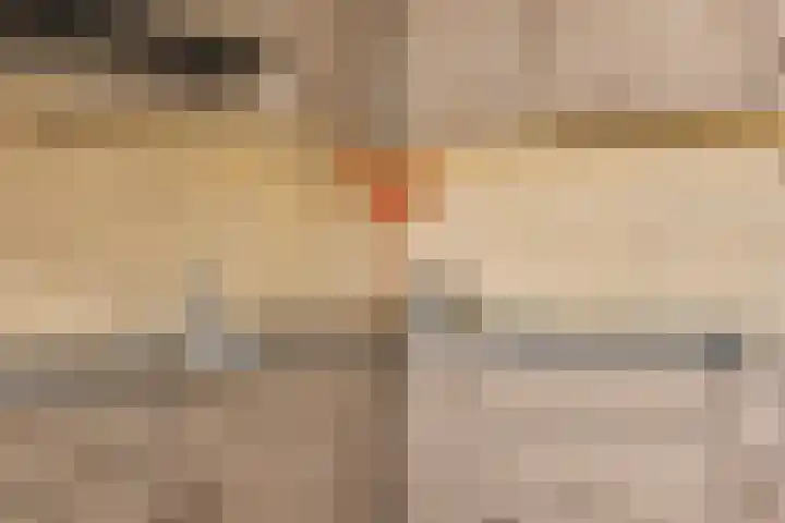 Sardiniëpad 7 Eindhoven thumbnail 24