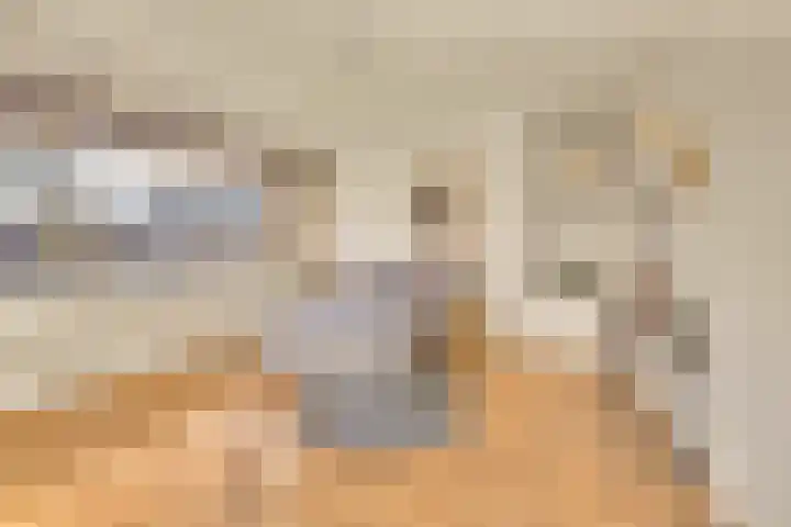 Sardiniëpad 7 Eindhoven thumbnail 34