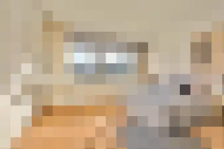 Sardiniëpad 7 Eindhoven thumbnail 35