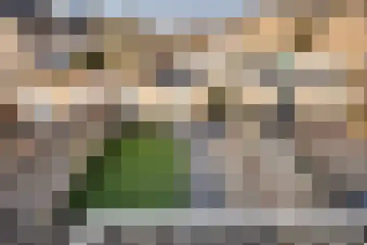 Sardiniëpad 7 Eindhoven thumbnail 51