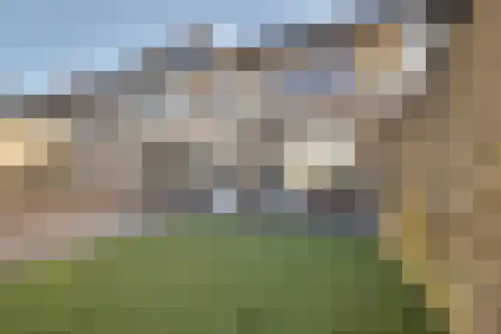 Sardiniëpad 7 Eindhoven thumbnail 54