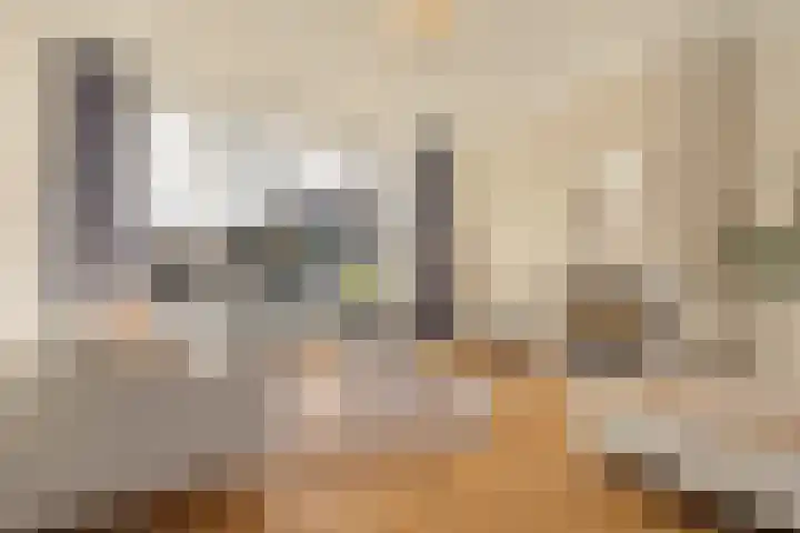 Sardiniëpad 7 Eindhoven thumbnail 8