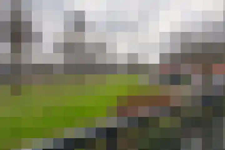 Sarongstraat 86 Purmerend thumbnail 4