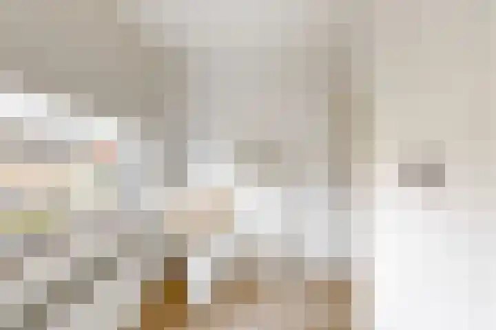 Sarphatipark 100 H in Amsterdam