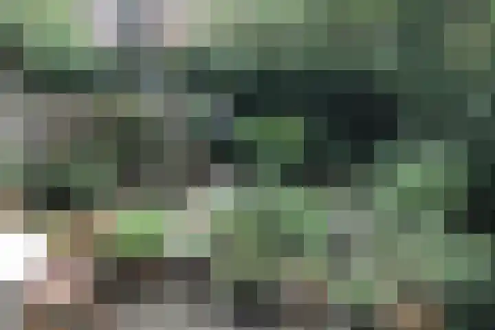 Sarphatipark 100 H Amsterdam thumbnail 38
