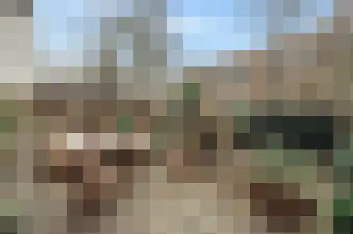 Sarphatipark 100 H Amsterdam thumbnail 4