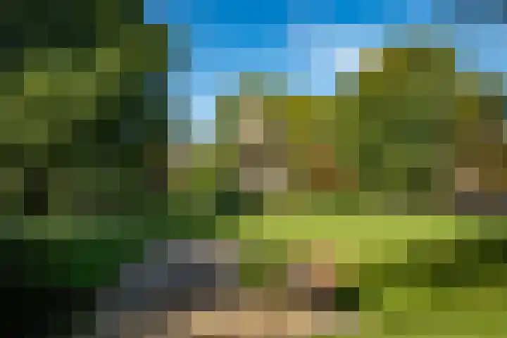 Sarphatipark 100 H Amsterdam thumbnail 41