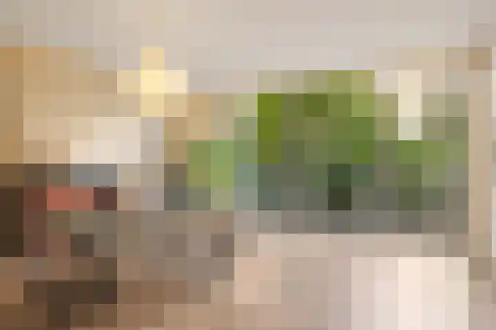 Sarphatipark 51 2 Amsterdam thumbnail 10