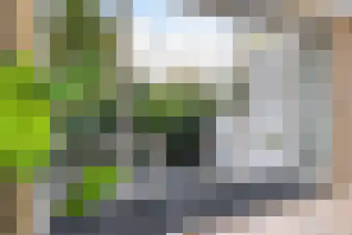 Sarphatipark 51 2 Amsterdam thumbnail 15