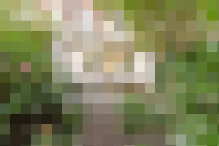 Sarphatipark 51 2 Amsterdam thumbnail 18