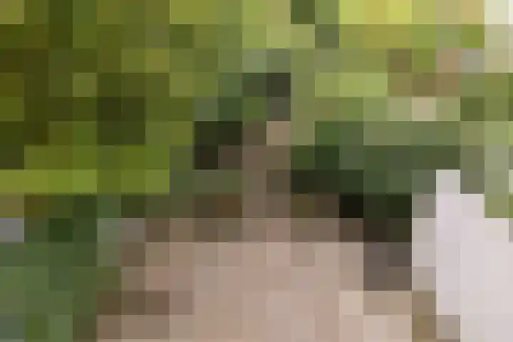 Sarphatipark 51 2 Amsterdam thumbnail 19