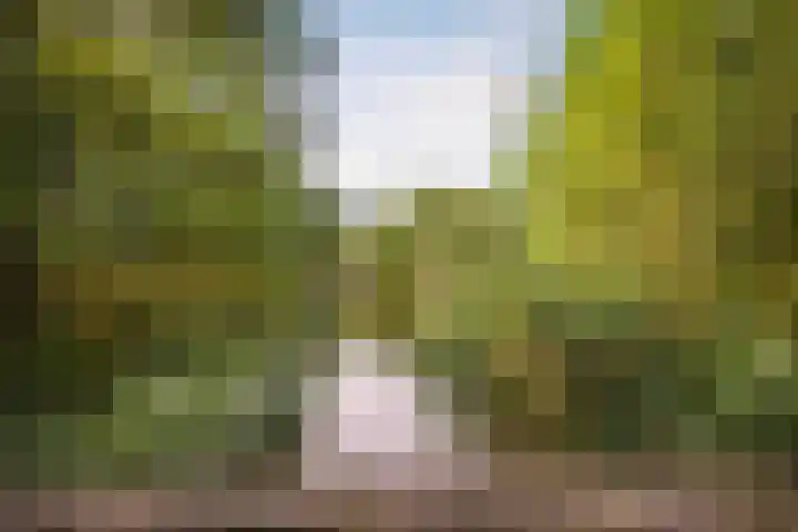 Sarphatipark 51 2 Amsterdam thumbnail 32